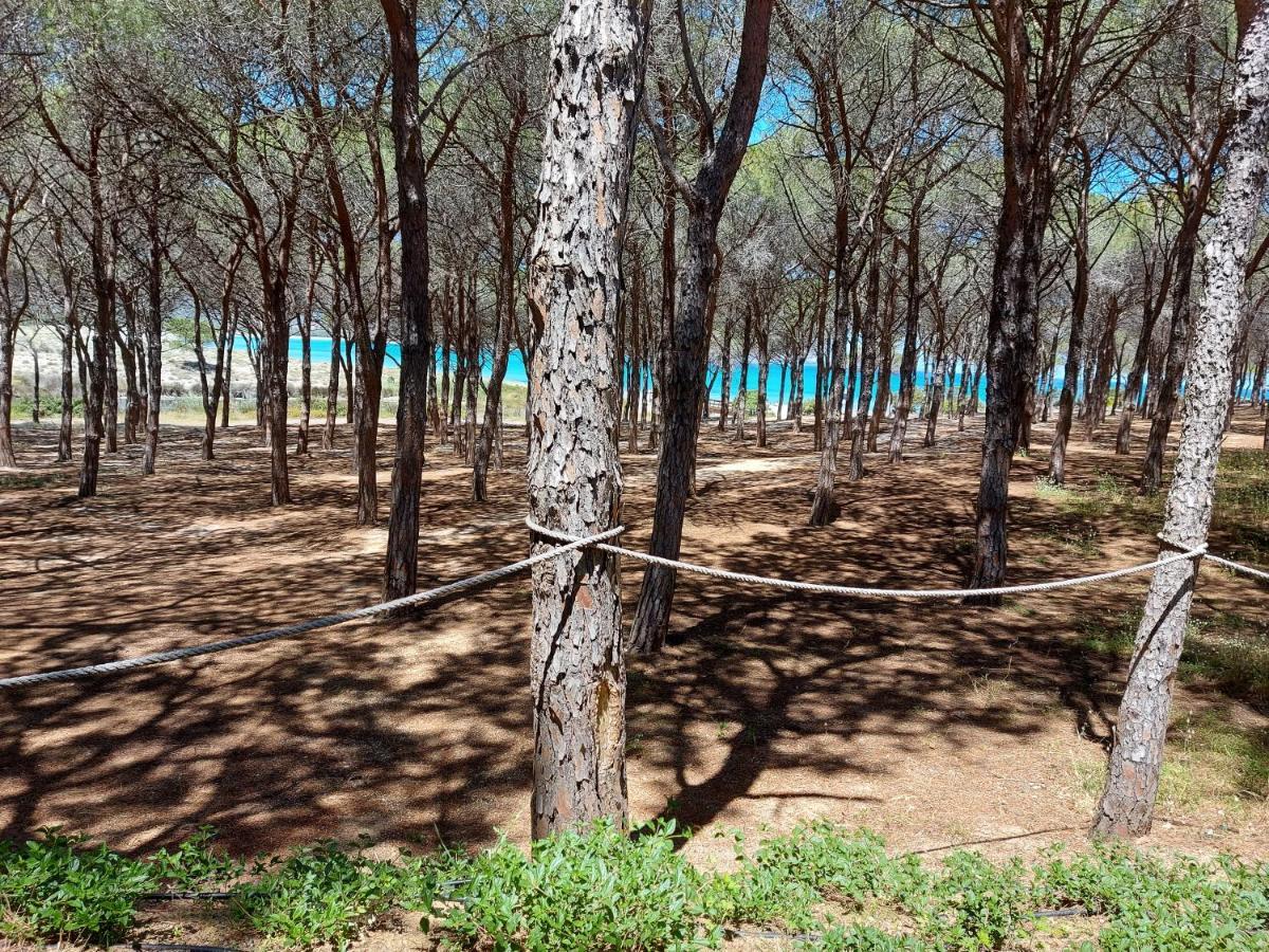 Gallura Dream Villas บูโดนี ภายนอก รูปภาพ